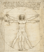 Da Vinci’s Truvian Man